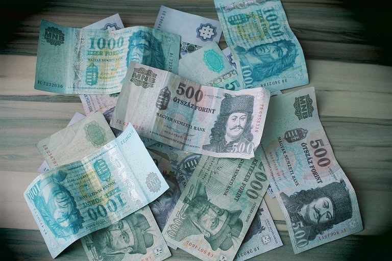 Венгерские Форинты